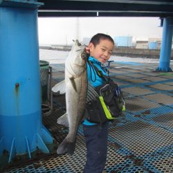 オリジナルメーカー海づり公園(市原市海づり施設) 釣果