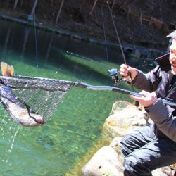 小菅トラウトガーデン 釣果