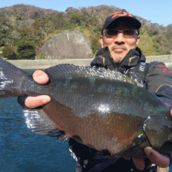 宮島丸 釣果