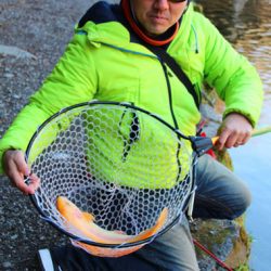 小菅トラウトガーデン 釣果