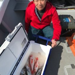 へいみつ丸 釣果