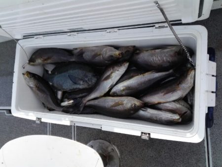 第二大福丸 釣果