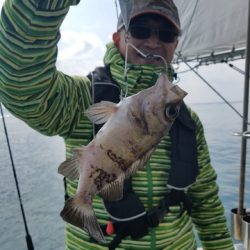 遊漁船 ニライカナイ 釣果