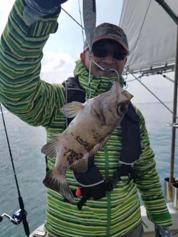 遊漁船 ニライカナイ 釣果