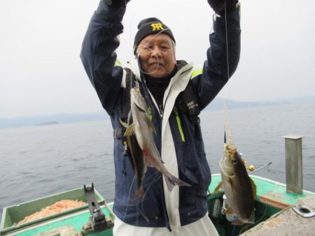 真祐丸 （しんゆうまる） 釣果