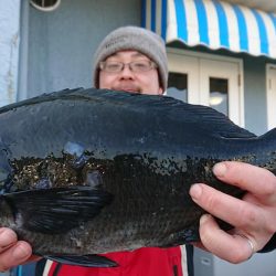 伊豆下田フィッシング 釣果