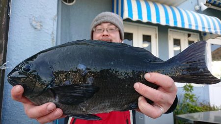 伊豆下田フィッシング 釣果