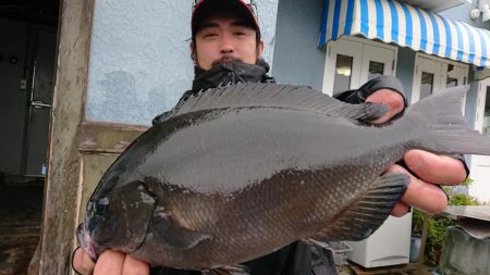 伊豆下田フィッシング 釣果