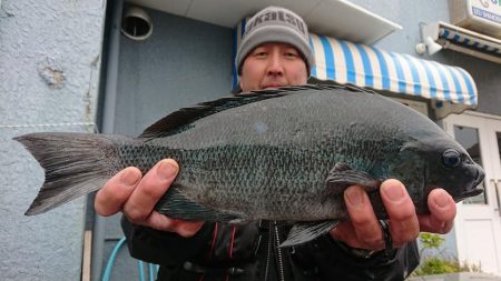 伊豆下田フィッシング 釣果