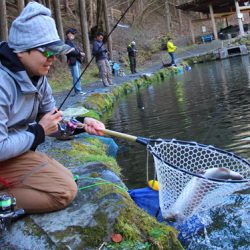 小菅トラウトガーデン 釣果