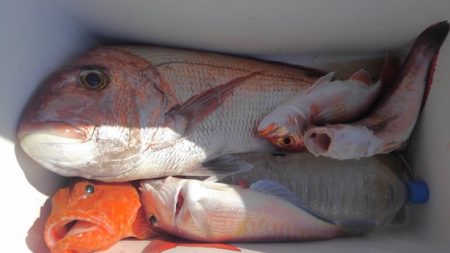 遊漁船 新鋭丸 釣果