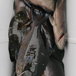 伊豆下田フィッシング 釣果