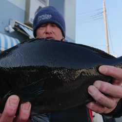 伊豆下田フィッシング 釣果