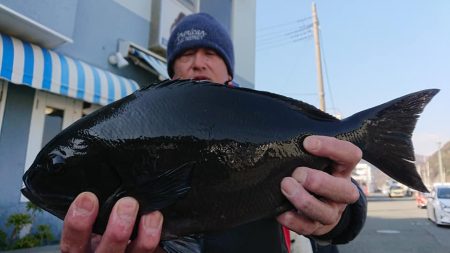 伊豆下田フィッシング 釣果