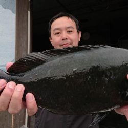 伊豆下田フィッシング 釣果