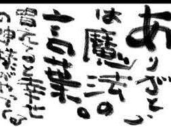 フィッシングボート空風（そらかぜ） 釣果