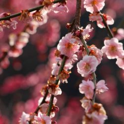 小菅トラウトガーデン 釣果