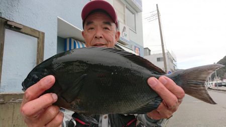 伊豆下田フィッシング 釣果