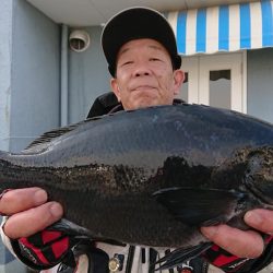 伊豆下田フィッシング 釣果