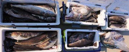 気仙沼　つり丸 釣果