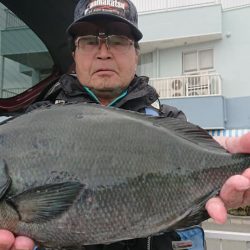 伊豆下田フィッシング 釣果