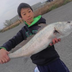 遊漁船 新鋭丸 釣果