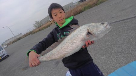 遊漁船 新鋭丸 釣果