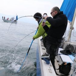 スカイマリン 釣果