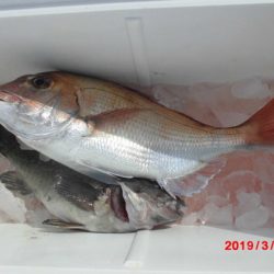 大進丸(新潟) 釣果