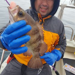 海峰 釣果