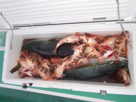 第二むつ漁丸 釣果