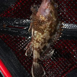 二見ガシリング2