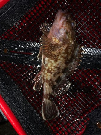 二見ガシリング2