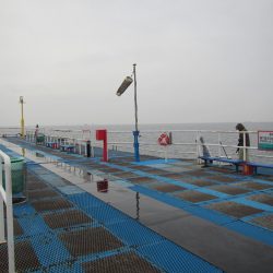 オリジナルメーカー海づり公園(市原市海づり施設) 釣果