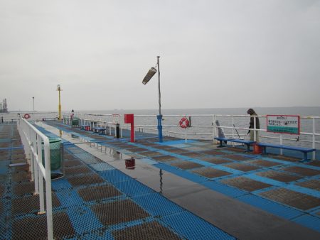 オリジナルメーカー海づり公園(市原市海づり施設) 釣果