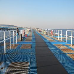 オリジナルメーカー海づり公園(市原市海づり施設) 釣果