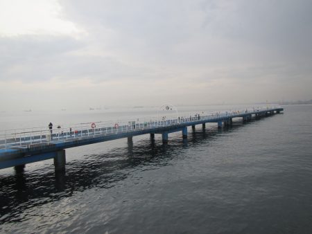 オリジナルメーカー海づり公園(市原市海づり施設) 釣果