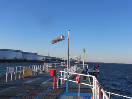 オリジナルメーカー海づり公園(市原市海づり施設) 釣果