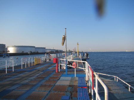 オリジナルメーカー海づり公園(市原市海づり施設) 釣果