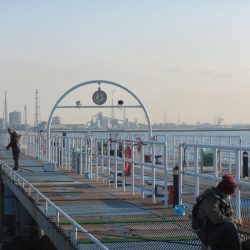 オリジナルメーカー海づり公園(市原市海づり施設) 釣果