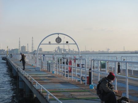 オリジナルメーカー海づり公園(市原市海づり施設) 釣果