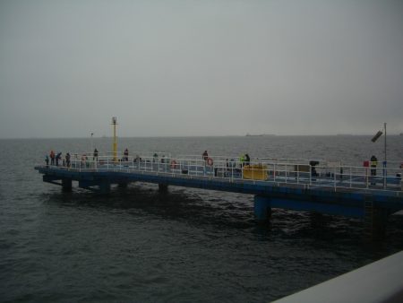 オリジナルメーカー海づり公園(市原市海づり施設) 釣果