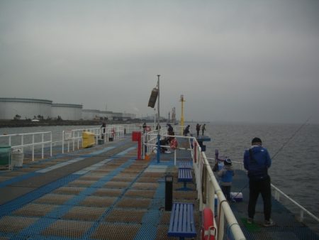 オリジナルメーカー海づり公園(市原市海づり施設) 釣果