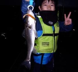 シーマジカル 釣果