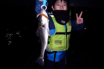 シーマジカル 釣果