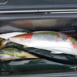 遊漁船　ニライカナイ 釣果