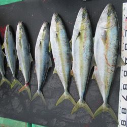 真祐丸 （しんゆうまる） 釣果