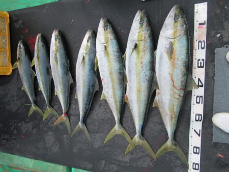 真祐丸 （しんゆうまる） 釣果