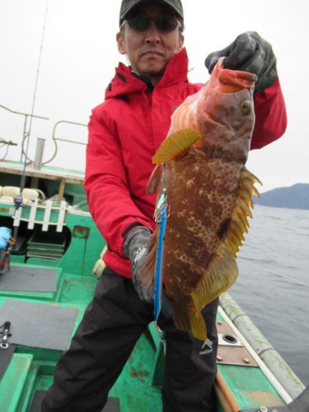 真祐丸 (しんゆうまる) 釣果