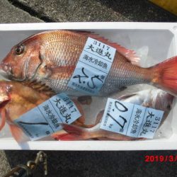 大進丸(新潟) 釣果